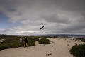 Touristes sur la plage de l'île de Noth Seymour - Galapagos  Ref:37008