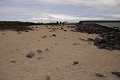 Touristes sur la plage de l'île de Noth Seymour - Galapagos  Ref:37010