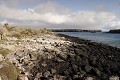 lâ€ôîle de South plaza, près de Santa Cruz, est une île au paysage volcanique typique des Galapagos. La végétation est composée de cactus géants (Opuntia Cactaceae), principale nouriture pour les iguanes terrestres, et de plantes grasses de la famille des succulentes (Sesuvium Edmonstonei) qui rougit lors de la période sèche (aoà»t) 
 Galapagos 
 Equateur 
 Parc National des Galapagos 
 Cactus 
 Paysage volcanique 
 animal sauvage 
 Paysage  