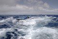  
 Galapagos 
 Equateur 
 Parc National des Galapagos 
 Vagues 
 Gite 
 Embruns 
 Océan Pacifique 
 Ciel 
 Barque  