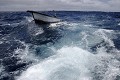  
 Galapagos 
 Equateur 
 Parc National des Galapagos 
 Vagues 
 Gite 
 Embruns 
 Océan Pacifique 
 Ciel 
 Barque  