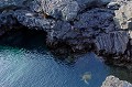 Trtue verte dans des cuvettes de lave sur l'île de Santiago.  
 Galapagos 
 Equateur 
 Parc National des Galapagos 
 Espèce menacée de disparition 
 Otaries à  Fourure  