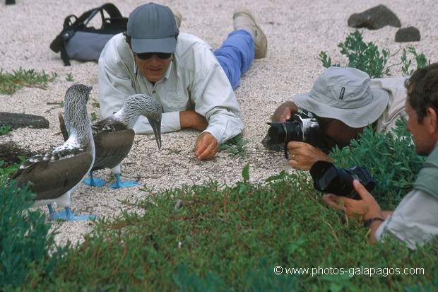  , Parc National des Galapagos, Equateur  