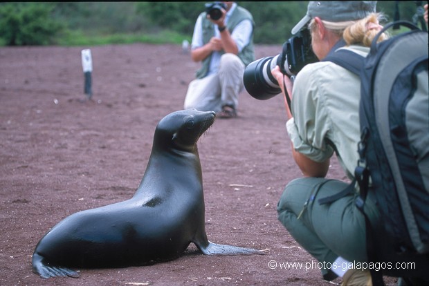  , Parc National des Galapagos, Equateur  