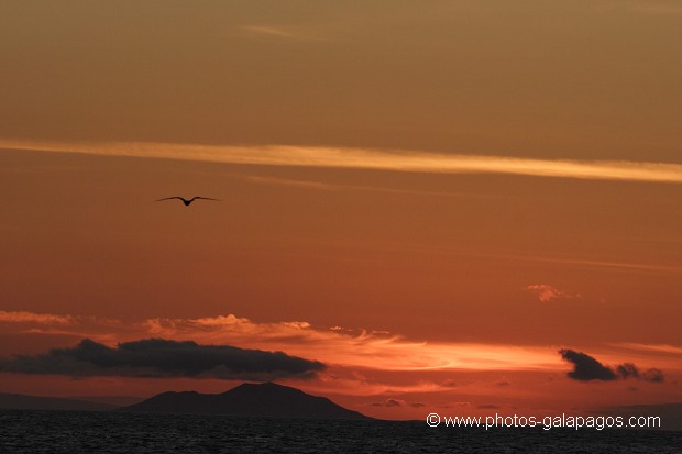 Couché de soleil avec l'île de Pinzon en arrère plan - Galapagos