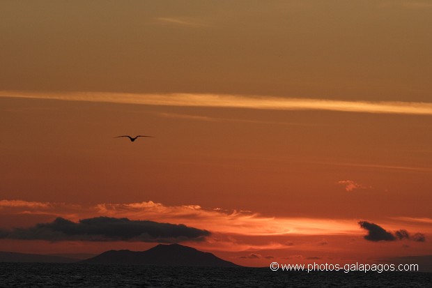 Couché de soleil avec l'île de Pinzon en arrère plan - Galapagos