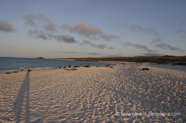 Ombre du photogrpahe au soleil couchant, Plage de bahia Gardner -  île de Espaà±ola - Galapagos