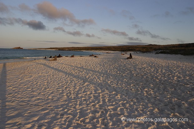  île de Espaà±ola - Galapagos