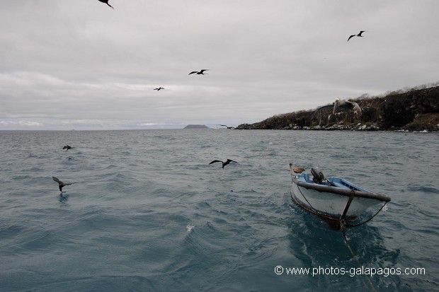 Barque de débarquement de bateau de croisière,  Galapagos 