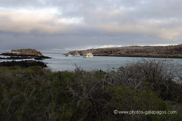 Bateaux de croisière au mouillage dans le lagon de l'ïle de Santa Fé -  Galapagos