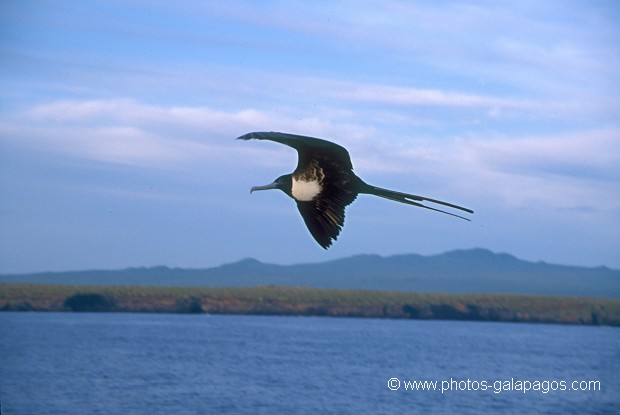  , Parc National des Galapagos, Equateur  