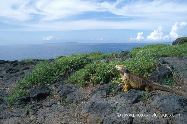  , Parc National des Galapagos, Equateur  