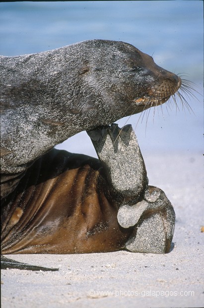  , Parc National des Galapagos, Equateur  