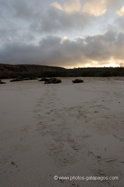 , Galapagos , Equateur , Parc National des Galapagos , Soleil couchant  , Parc National des Galapagos, Equateur  