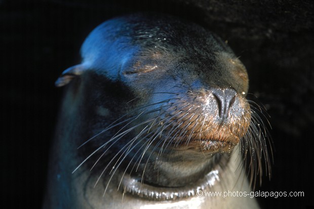  , Parc National des Galapagos, Equateur  