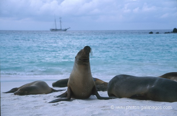  , Parc National des Galapagos, Equateur  