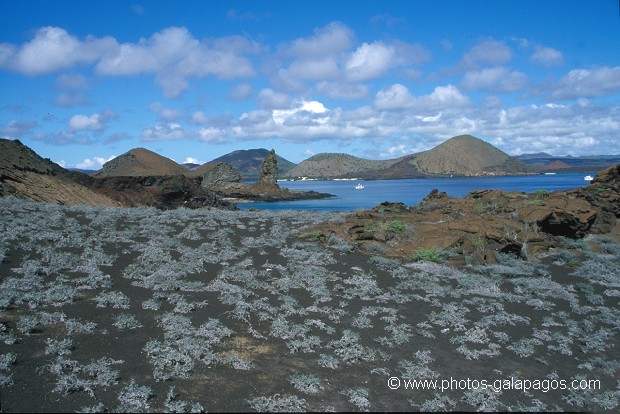 Paysage des Galapagos - île de Batholomé