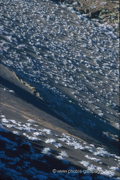 Paysage des Galapagos - île de Batholomé