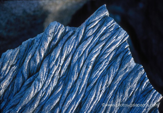  , Parc National des Galapagos, Equateur  