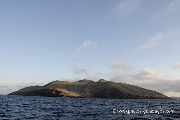 île de Rabida dans le Parc National des Galapagos