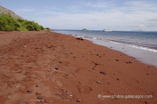 , Galapagos , Equateur , Parc National des Galapagos  , Parc National des Galapagos, Equateur  