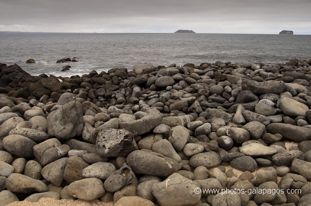 , Galapagos , Equateur , Parc National des Galapagos  , Parc National des Galapagos, Equateur  