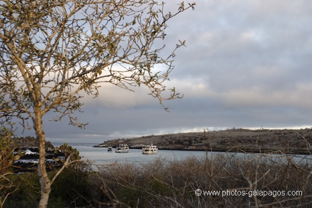 , Galapagos , Equateur , Parc National des Galapagos  , Parc National des Galapagos, Equateur  