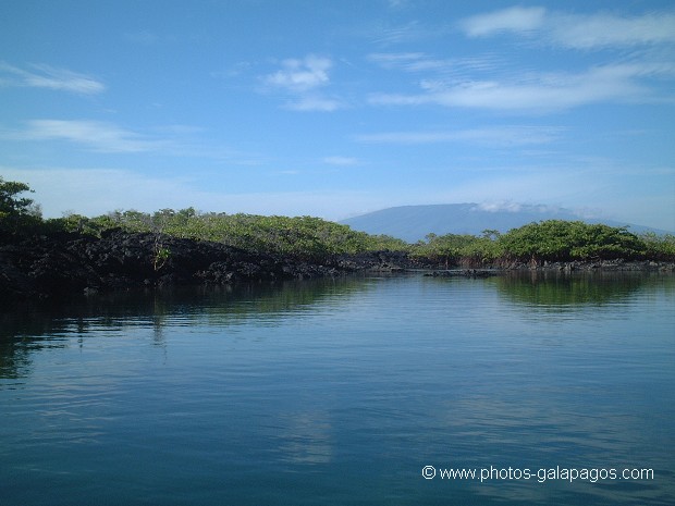  , Parc National des Galapagos, Equateur  