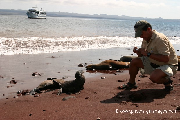 Touriste, Galapagos, , Parc National des Galapagos, Equateur  