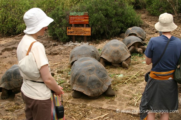  , Parc National des Galapagos, Equateur  