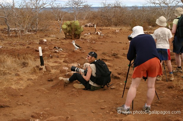  , Parc National des Galapagos, Equateur  