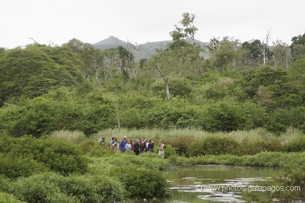 Galapagos
,Touriste
, , Parc National des Galapagos, Equateur  