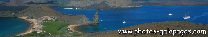 Paysage typique des Galapagos